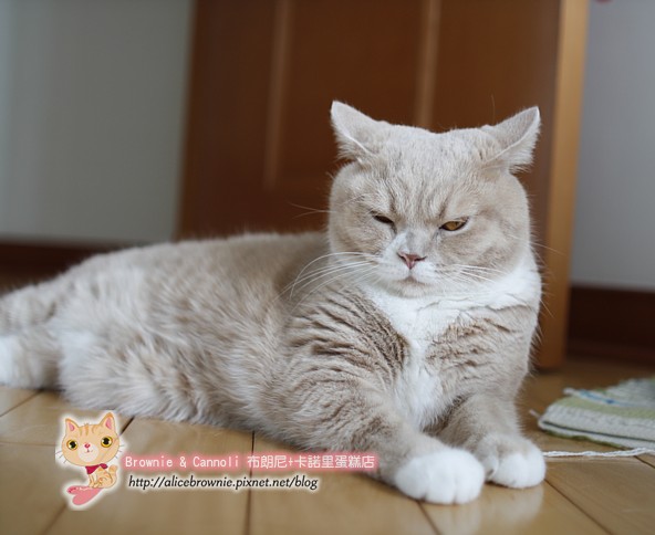 C_13687_Angry.JPG C_13687_Angry.JPG