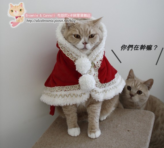 C_00145_Xmas.JPG