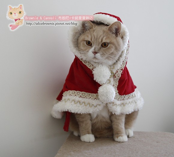 C_00154_Xmas.JPG C_00154_Xmas.JPG