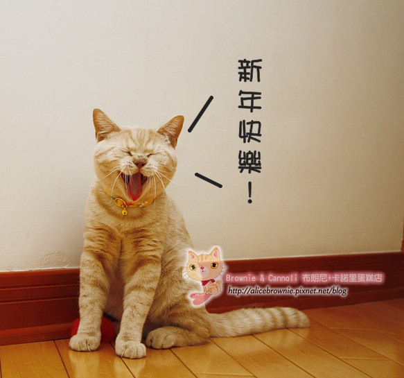 D_04227_Yawning.JPG D_04227_Yawning.JPG