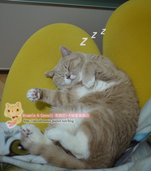 C_14882_Sleeping.JPG C_14882_Sleeping.JPG