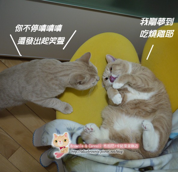 C_14886_Licking.JPG C_14886_Licking.JPG