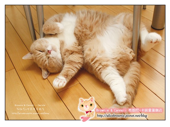 Postcard_C3.jpg Postcard_C3.jpg