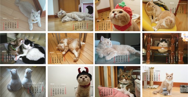 2011_all.jpg 2011_all.jpg