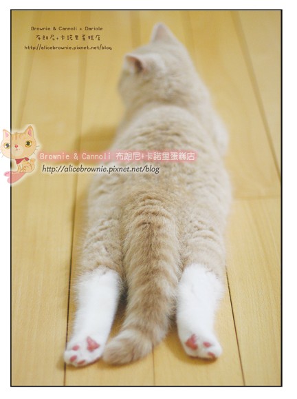 Postcard_C4.jpg Postcard_C4.jpg