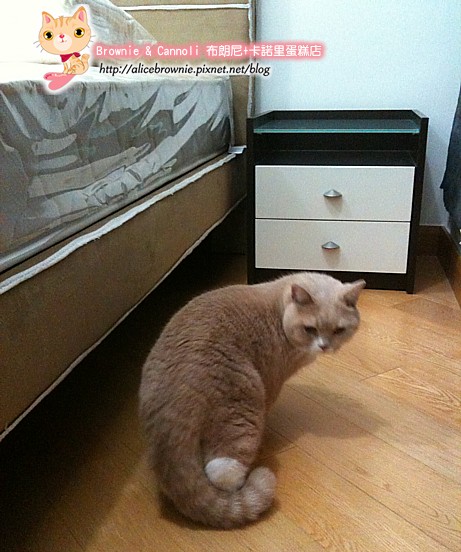 IMG_1934.jpg IMG_1934.jpg