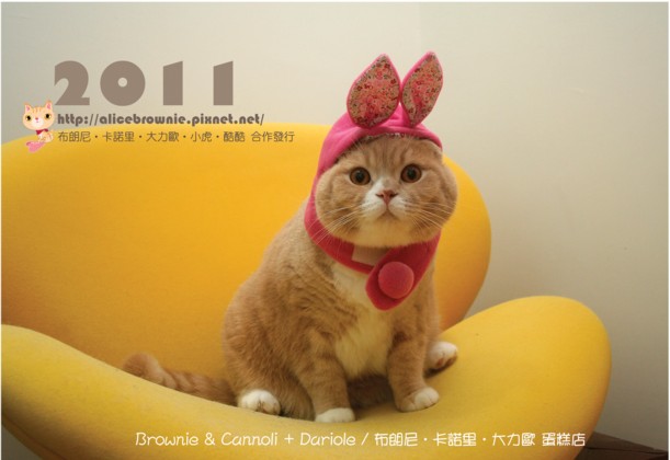 2011_cover.jpg 2011_cover.jpg