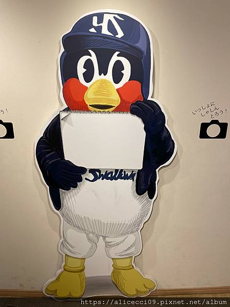 【東京新宿景點】Tokyo Yakult Swallows 