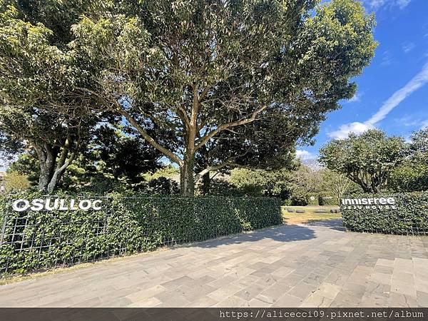 【濟州景點】O'Sulloc Tea Museum오설록 티 【濟州景點】O'Sulloc Tea Museum오설록 티