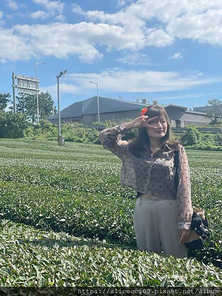 【濟州景點】O'Sulloc Tea Museum오설록 티 【濟州景點】O'Sulloc Tea Museum오설록 티