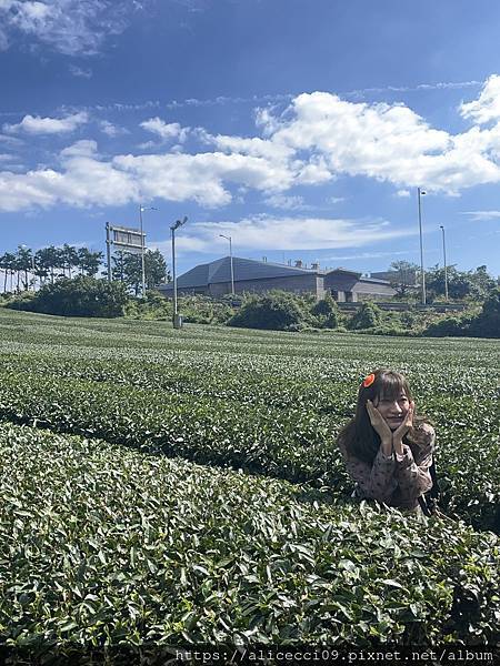 【濟州景點】O'Sulloc Tea Museum오설록 티 【濟州景點】O'Sulloc Tea Museum오설록 티