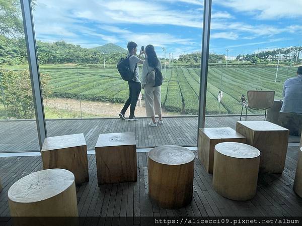 【濟州景點】O'Sulloc Tea Museum오설록 티 【濟州景點】O'Sulloc Tea Museum오설록 티