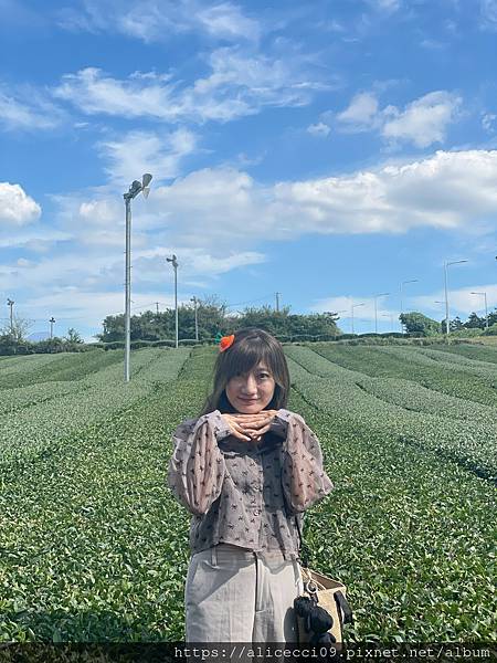 【濟州景點】O'Sulloc Tea Museum오설록 티 【濟州景點】O'Sulloc Tea Museum오설록 티