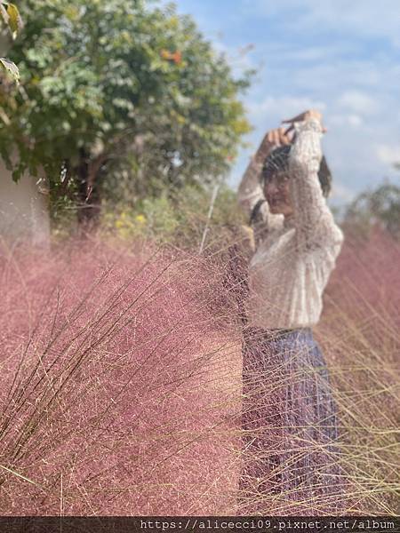 【濟州咖啡廳】