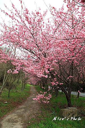 20110224_115cha.jpg 20110224_115cha.jpg