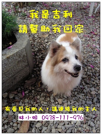 butter麻咪家的吉利