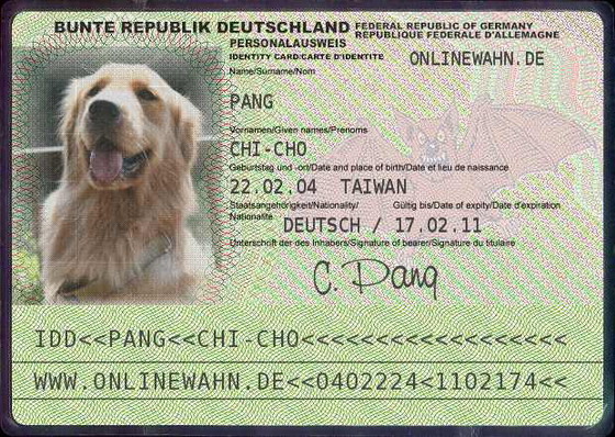 Chi-Cho ID