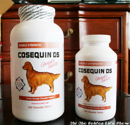 950617 小巫見小巫