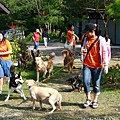961027 狗友會北區第八次狗聚-桃園仙谷
