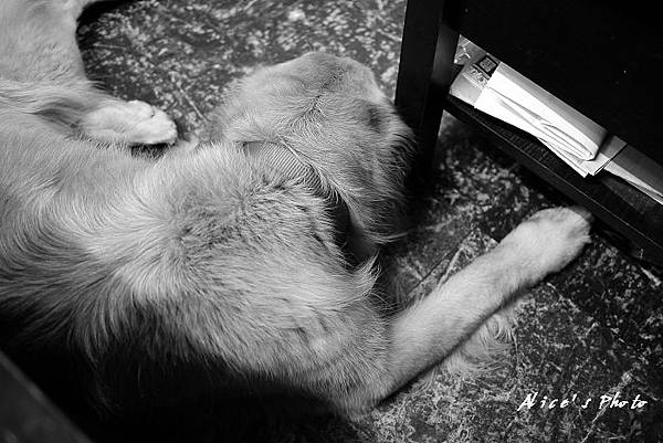 201106128_GF019cha.jpg 201106128_GF019cha.jpg