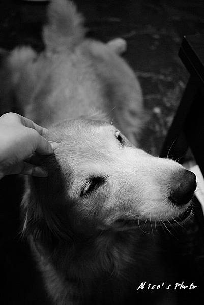 201106128_GF035cha.jpg 201106128_GF035cha.jpg