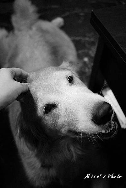 201106128_GF036cha.jpg 201106128_GF036cha.jpg