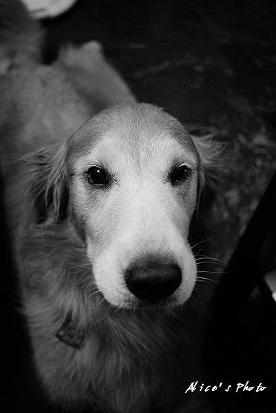 201106128_GF040cha.jpg 201106128_GF040cha.jpg