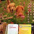 20100719_028cha.jpg