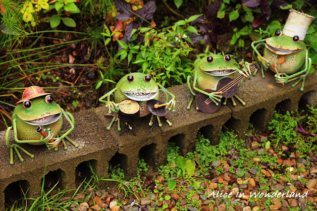 201011107_020cha.jpg 201011107_020cha.jpg