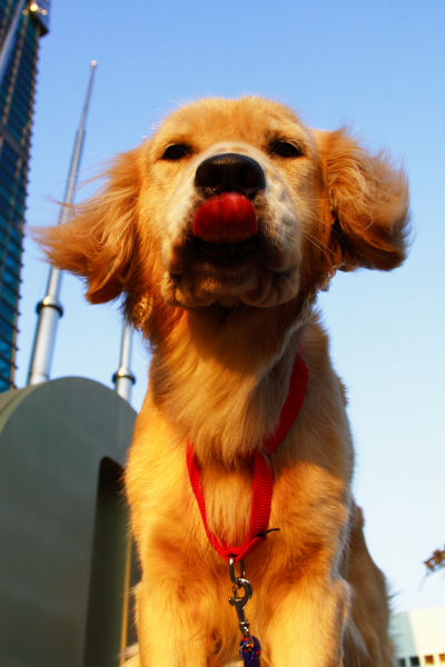 970921_082cha.JPG 970921_082cha.JPG