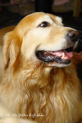 971102_081chac.jpg 971102_081chac.jpg