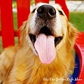 971102_144chac.jpg