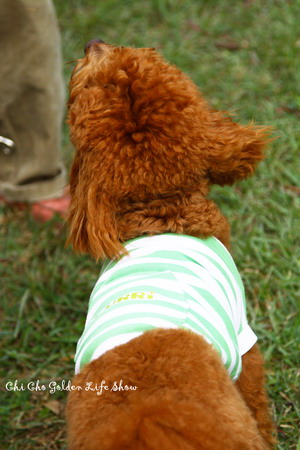 971214_052chac.jpg 971214_052chac.jpg
