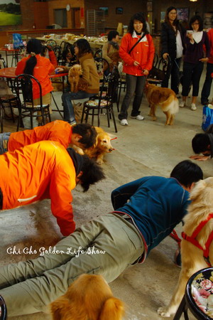 971214_207chac.jpg 971214_207chac.jpg