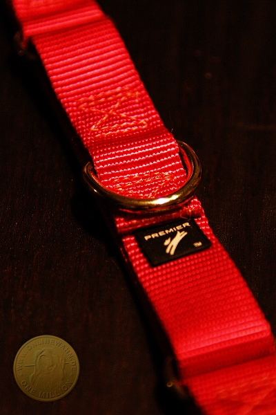 971218_056chac.jpg 971218_056chac.jpg