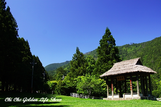 20090508_019cha.jg 20090508_019cha.jpg