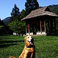 20090508_099cha.jpg