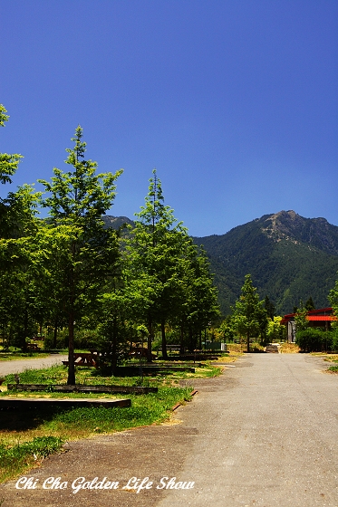 20090509_130cha.jpg 20090509_130cha.jpg