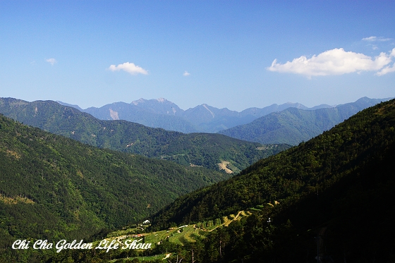20090509_206cha.jpg 20090509_206cha.jpg