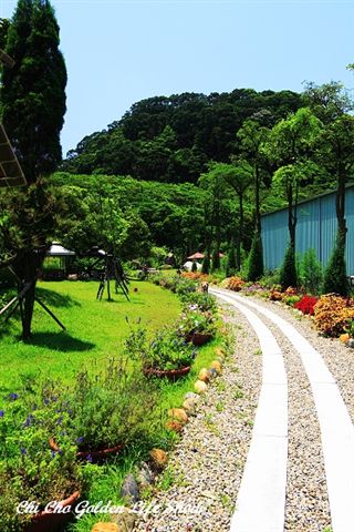 20090529_084cha.jpg 20090529_084cha.jpg