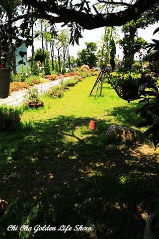 20090529_099chax.jpg 20090529_099chax.jpg