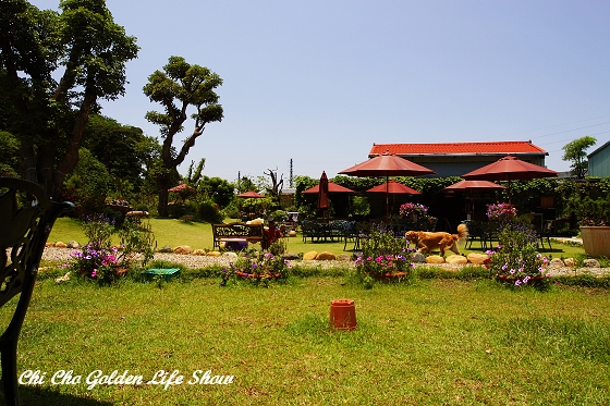 20090529_110cha.jpg 20090529_110cha.jpg
