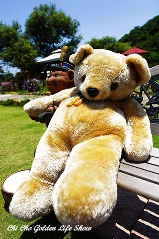 20090529_118cha.jpg 20090529_118cha.jpg