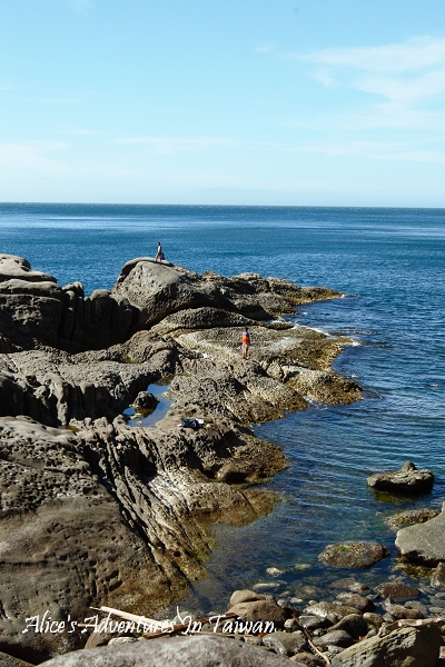 20090711_161-1.jpg 20090711_161-1.jpg
