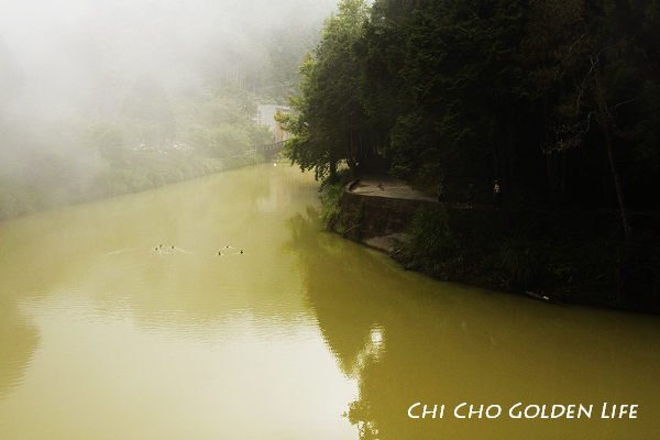 20090709_113cha.jpg 20090709_113cha.jpg