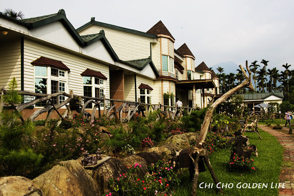 20090709_137cha.jpg 20090709_137cha.jpg
