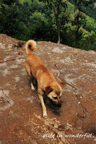 20090927_185chac.jpg 20090927_185chac.jpg
