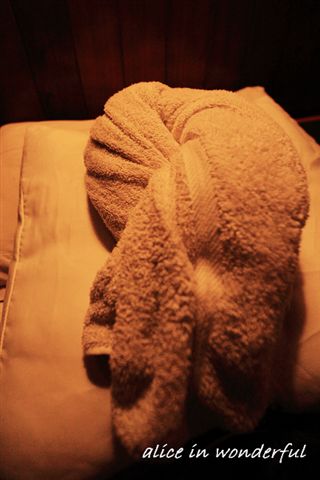20090927_375cha.jpg 20090927_375cha.jpg