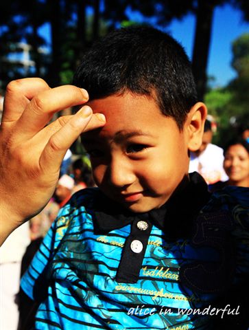 20090928_150cha.jpg 20090928_150cha.jpg