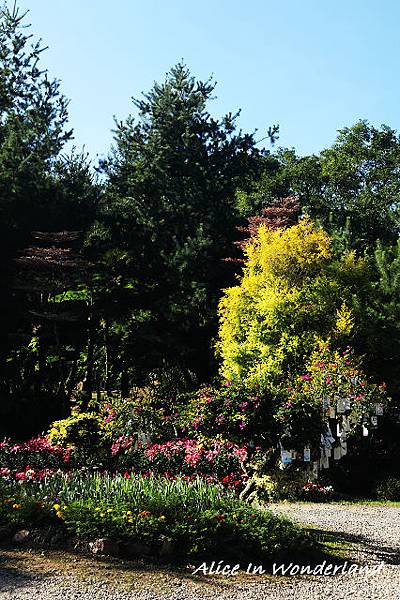 20101213桃源仙谷(關西)